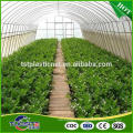 China manufactory direct sale greenhouse pe film tarpaulin